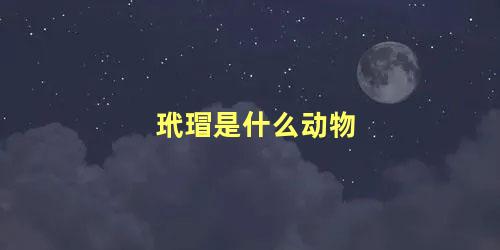 玳瑁是什么神兽(玳瑁神话)